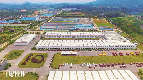 技术与温情交织 桂林如何成为游子返乡买房的新高地